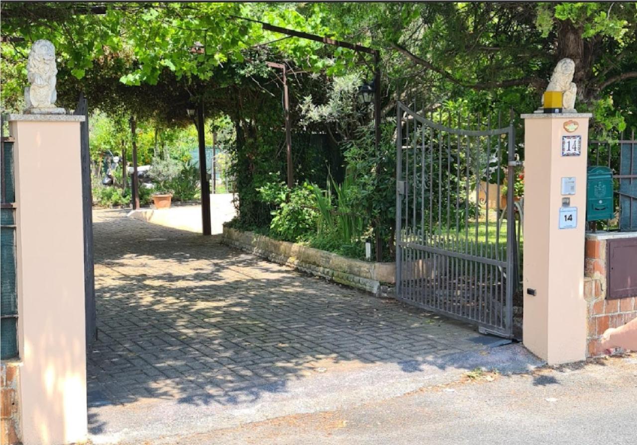 La Terrazza Sui Limoni - Suite Degli Ospiti - Mare, Escursioni A Piedi O Bike, Falesie Per Arrampicate Cisano sul Neva Buitenkant foto